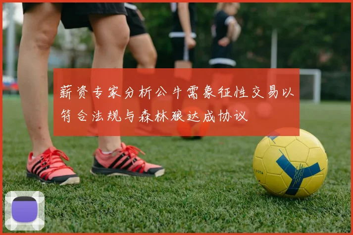 薪资专家分析公牛需象征性交易以符合法规与森林狼达成协议