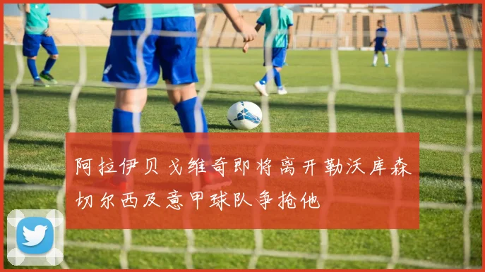 阿拉伊贝戈维奇即将离开勒沃库森切尔西及意甲球队争抢他